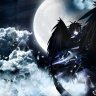 Night